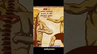 Thumbnail: Thoracic Spine Issues #anatomy#backpain #ribpain