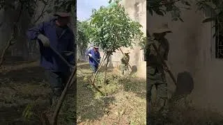 Thumbnail: I Helped a SINGLE MOM Clean Up Her Abandoned House #shortvideo
