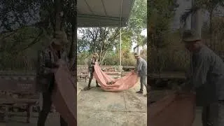 Thumbnail: I Bought Back And Renovated My Old Family House #shorts