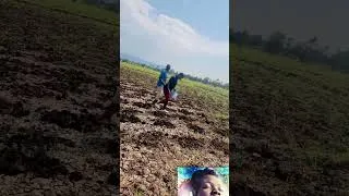 Thumbnail: REYNA FARMING