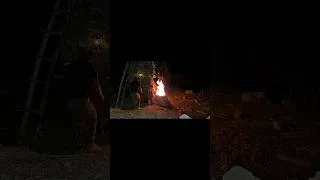 Thumbnail: Building a shelter in a tree trunk 🌳 Don't miss the full video