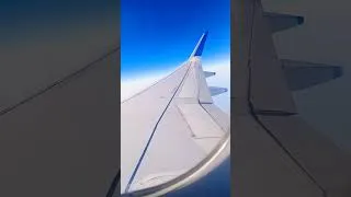 Thumbnail: Indigo Flight ✈️✈️ #newviralvideo