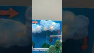 Thumbnail: Water Cycle Model ! 1st Prize Winning Science Project #schoolproject #shorts #diy #foryou #amazing