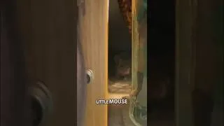Thumbnail: Mouse in our house FAIL 🫣