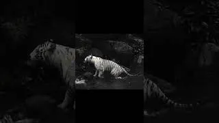 Thumbnail: I love this song so much I have been playing it on repeat it one of my top favourite on new album