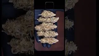 Thumbnail: I Changed ONE Thing… and My Soil Came ALIVE 🌱