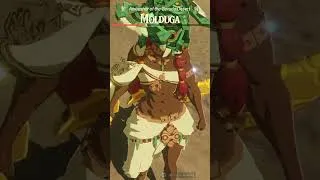 Thumbnail: Gerudo Chief Ardi vs Molduga  #hyrulewarriorsageofimprisonment #ageofimprisonment #totk #zelda