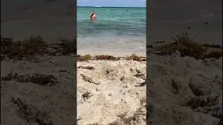 Thumbnail: Miami Vacation Part II