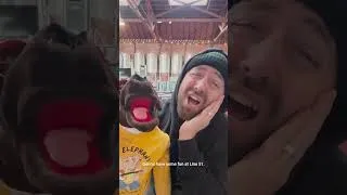 Thumbnail: Hot Burger on a Cold Night