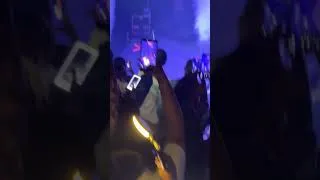 Thumbnail: @maliedonnmuzik London o2 concert 🥶⛷️