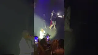 Thumbnail: @maliedonnmuzik London o2 concert ⛷️🥶