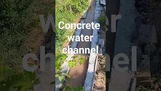 Thumbnail: Concrete agricultural water channel#gardening #watering #concrete