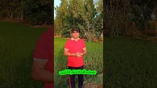 Thumbnail: Be Grateful for Allah's Signs #shorts