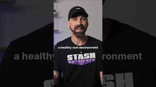 Thumbnail: Root Zone Issues