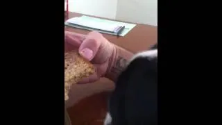 Thumbnail: Snacking on toast