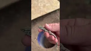 Thumbnail: How to Make a Lizard Trap #reptile