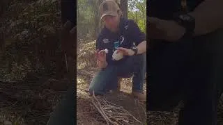 Thumbnail: Cheap Fire Starter Hack 🔥 Cotton Balls + Vaseline