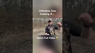 Thumbnail: Took my Chihuahua Dusty Camping 🐶🏕️