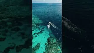 Thumbnail: They Won the Case 🌊 West Philippine Sea