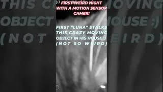 Thumbnail: First Night With a Motion Sensor Camera & Some Weird Things Happen