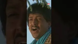 Thumbnail: An Evergreen Kannada Classic Full of Fun & Energy! 🌟🎶 "Ballili Kumbalakayi" | #Kathanayaka #Shorts