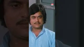 Thumbnail: A timeless classic from 'Gaali Maathu' 🎞️🎵 #NagisaluNeenu #GaaliMaathu #Lakshmi #JaiJagadish #Shorts