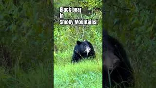 Thumbnail: The Great Smoky Mountains …