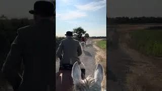 Thumbnail: Tonic and I riding upfront with the Cotswold hounds | Equestrian