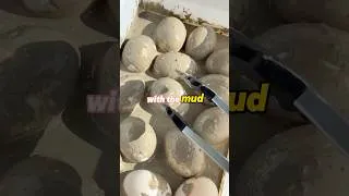 Thumbnail: How to Make Delicious Century Eggs at Home 🥚🤤