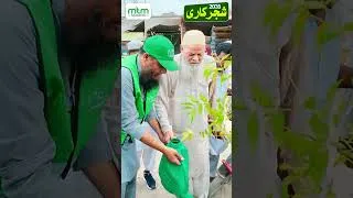 Thumbnail: شجر کاری 2026 درخت لگائیں، ماحول بچائیں! 🌿🍃 #muftitariqmasoodfoundation #welfare #muftitariqmasood