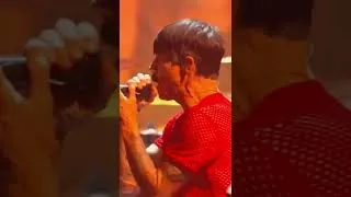 Thumbnail: Ngl—my face didn’t stop smiling when the Red Hot Chili Peppers played! The newest Global Icons! #VMA