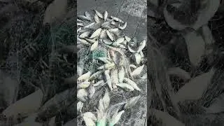 Thumbnail: Jackpot!