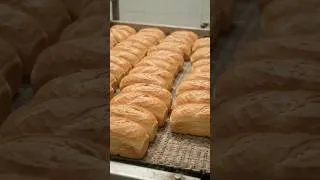 Thumbnail: Roti dustbin me. Log ruk jayenge ROTI → GAI KA KHANA
