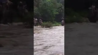 Thumbnail: Elephants approaching whilst White water rafting in Thailand #tropical #whitewaterrafting #elephant