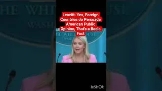 Thumbnail: Leavitt: Yes, Foreign Countries do Persuade American Public Opinion, a Basic Fact #breakingnews #usa