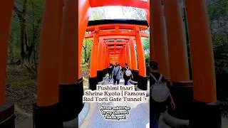Thumbnail: Fushimi Inari Shrine Kyoto | Famous Red Torii Gate Tunnel 🇯🇵 #familytravel #youtubeshorts #fyp