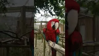 Thumbnail: Lincolnshire Wildlife Park. Day Trip