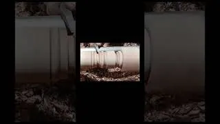 Thumbnail: July 3, 2026