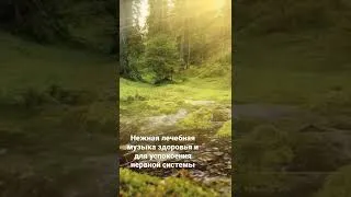 Thumbnail: Нежная лечебная музыка здоровья и для успокоения нервной системы