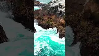 Thumbnail: The natural beauty of the sea #shorts