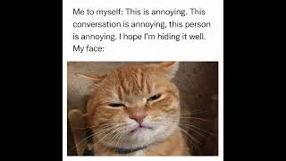 Thumbnail: Trying not to be rude in public be like #catreaction #shorts #meme