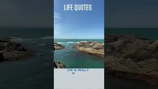 Thumbnail: # Life quotes