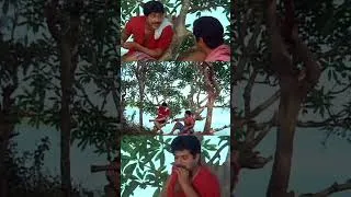 Thumbnail: കഞ്ചാവിന്റെ വില എന്താ ഇപ്പോ ... #malayalamreels #mammootty #oldclips #malayalammoviescenes