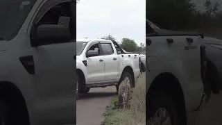 Thumbnail: Leopard Killing Hyena - Amazing