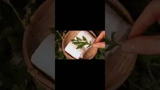 Thumbnail: 🌿Traditional Korean SPA using Mugwort🌿 #korean #spa #traditional