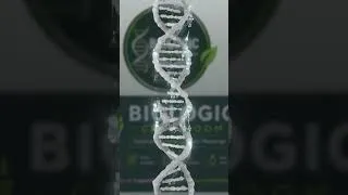 Thumbnail: BioLogic Classroom