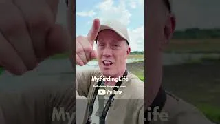 Thumbnail: Nashville Birding was HUGE!!! Click the link to watch! #nashvillebirds #nashvillebirding