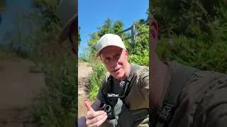 Thumbnail: Why You Need to Get Birding: Part 3 #getbirding #birding #ukbirds #birdwatching #birds