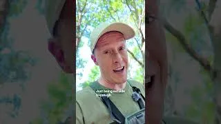 Thumbnail: Why You Need to Get Birding: Part 2 #getbirding #birdwatching #birding #birdlovers