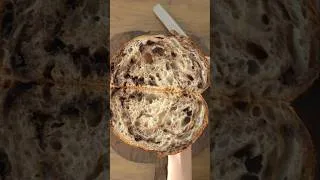 Thumbnail: Chocolate Sourdough #shorts